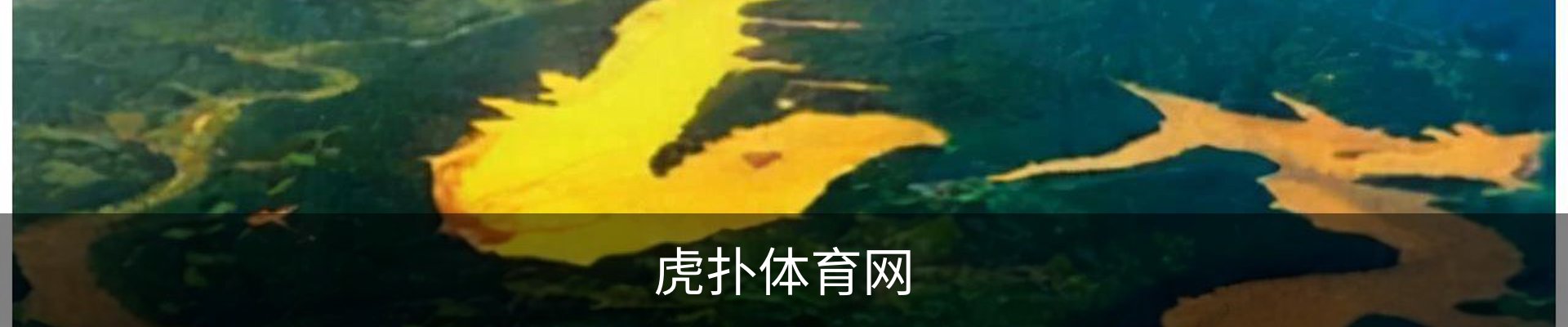 内页banner